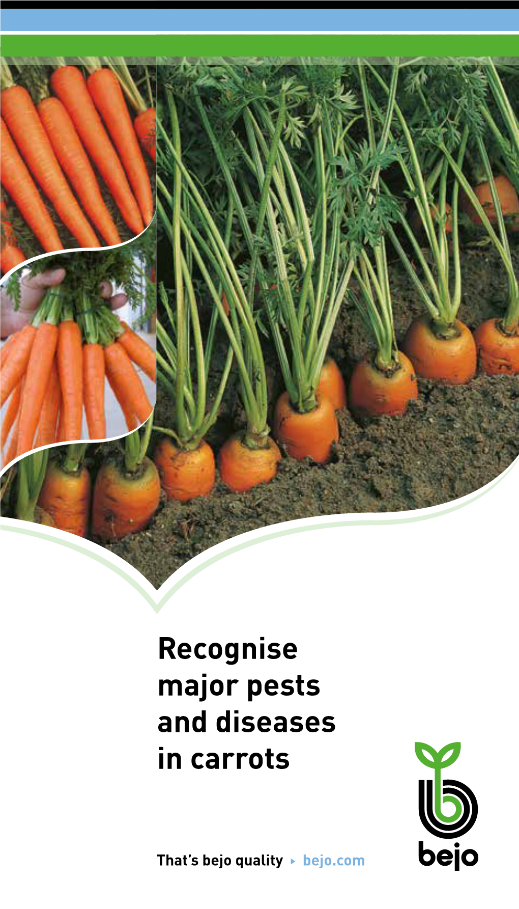 Recognise Major Pests and Diseases in Carrots in This Booklet We Have Presented the Best Information Available to Us