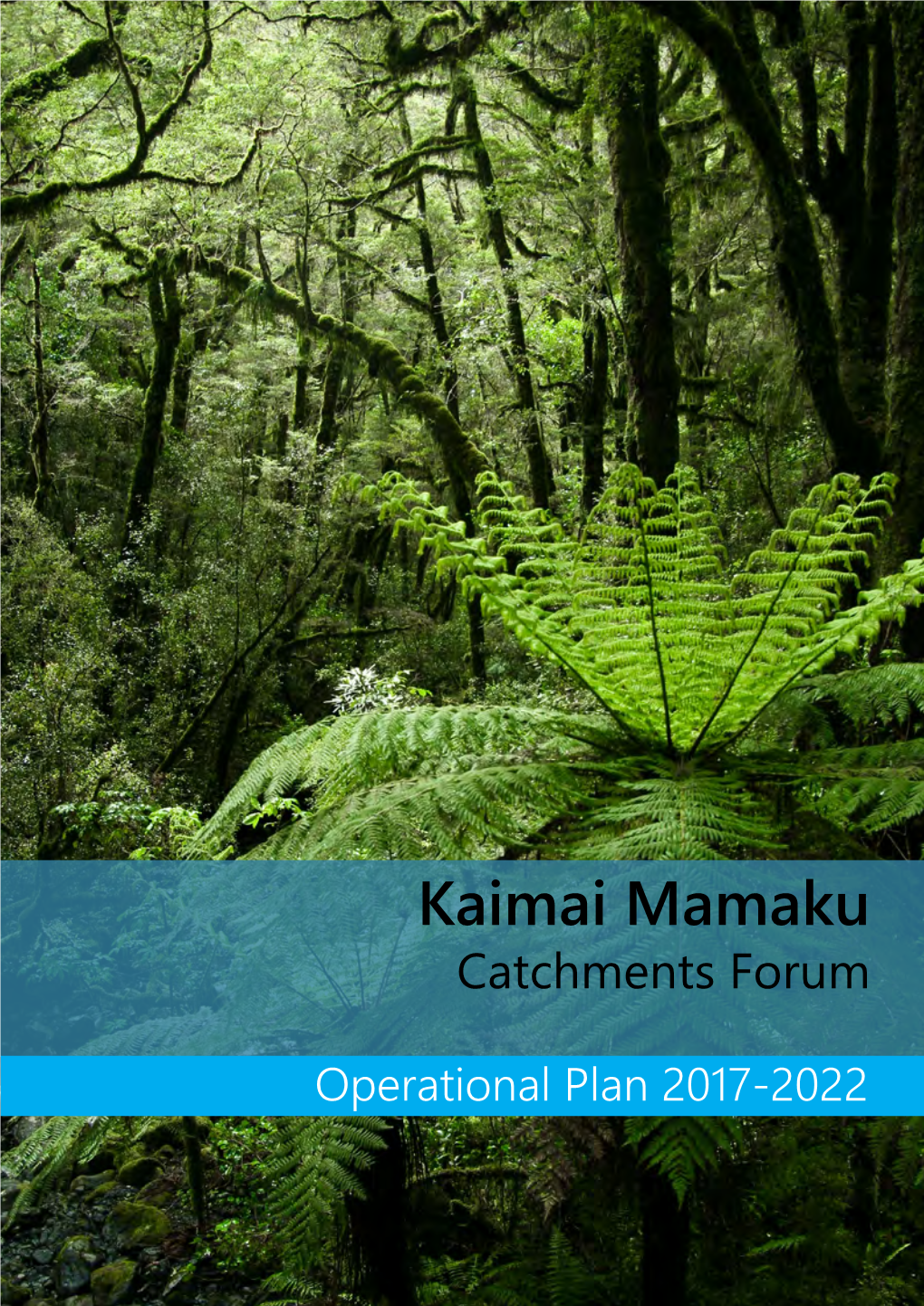 Kaimai Mamaku Catchments Forum