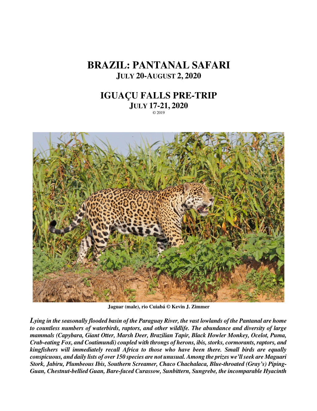 Brazil: Pantanal Safari July 20-August 2, 2020