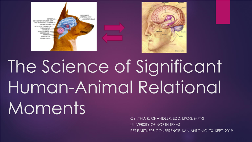 The Science of Significant Human-Animal Relational Moments CYNTHIA K