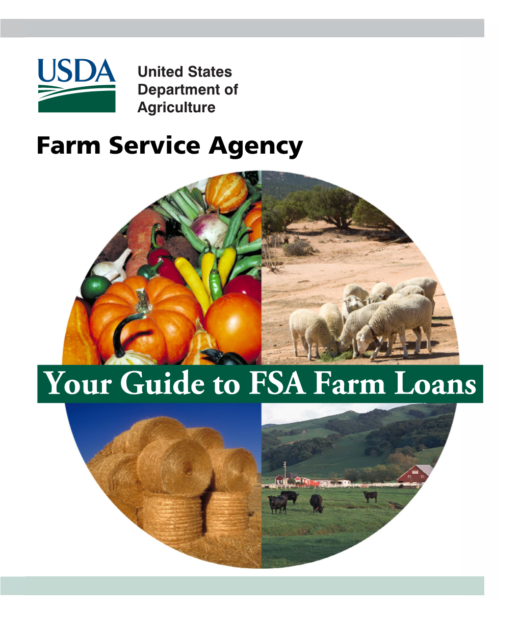 Your Guide to FSA Farm Loans Information Requested in the Form