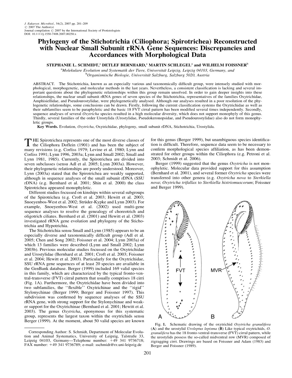 Ciliophora; Spirotrichea) Reconstructed with Nuclear Small Subunit Rrna Gene Sequences: Discrepancies and Accordances with Morphological Data