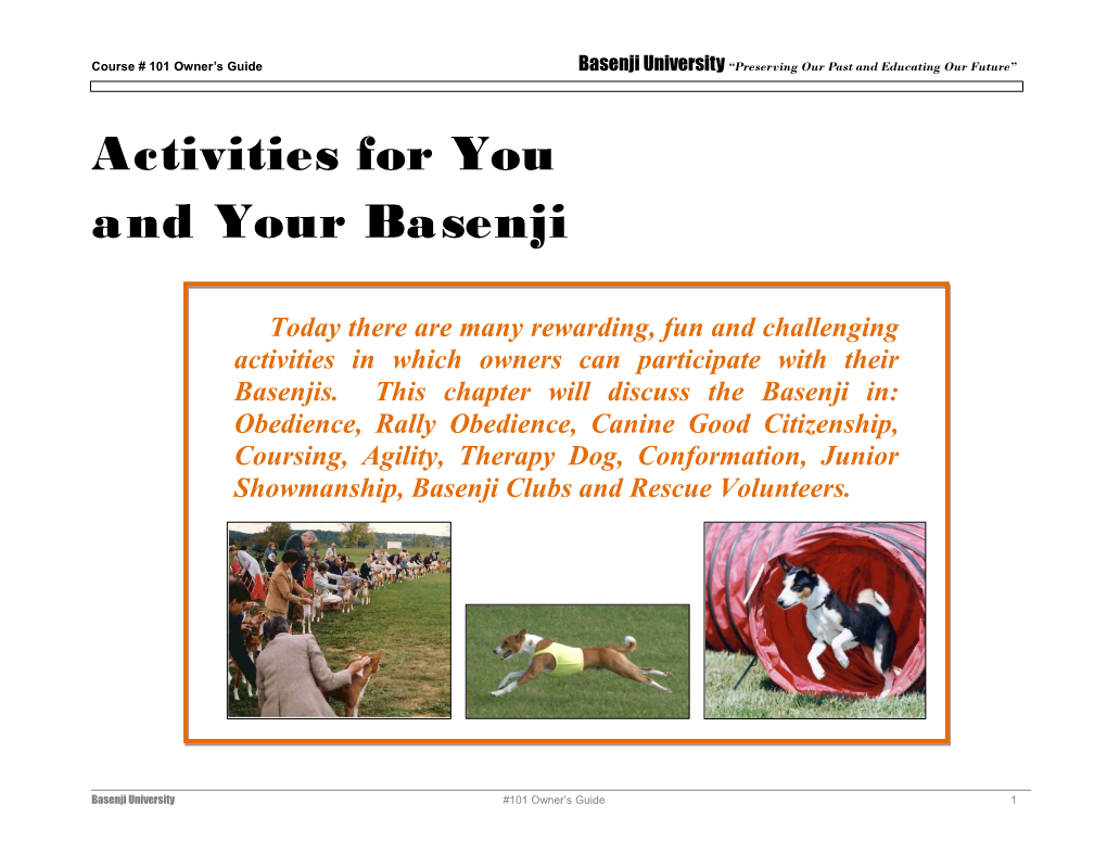 Activities for You and Your Basenji