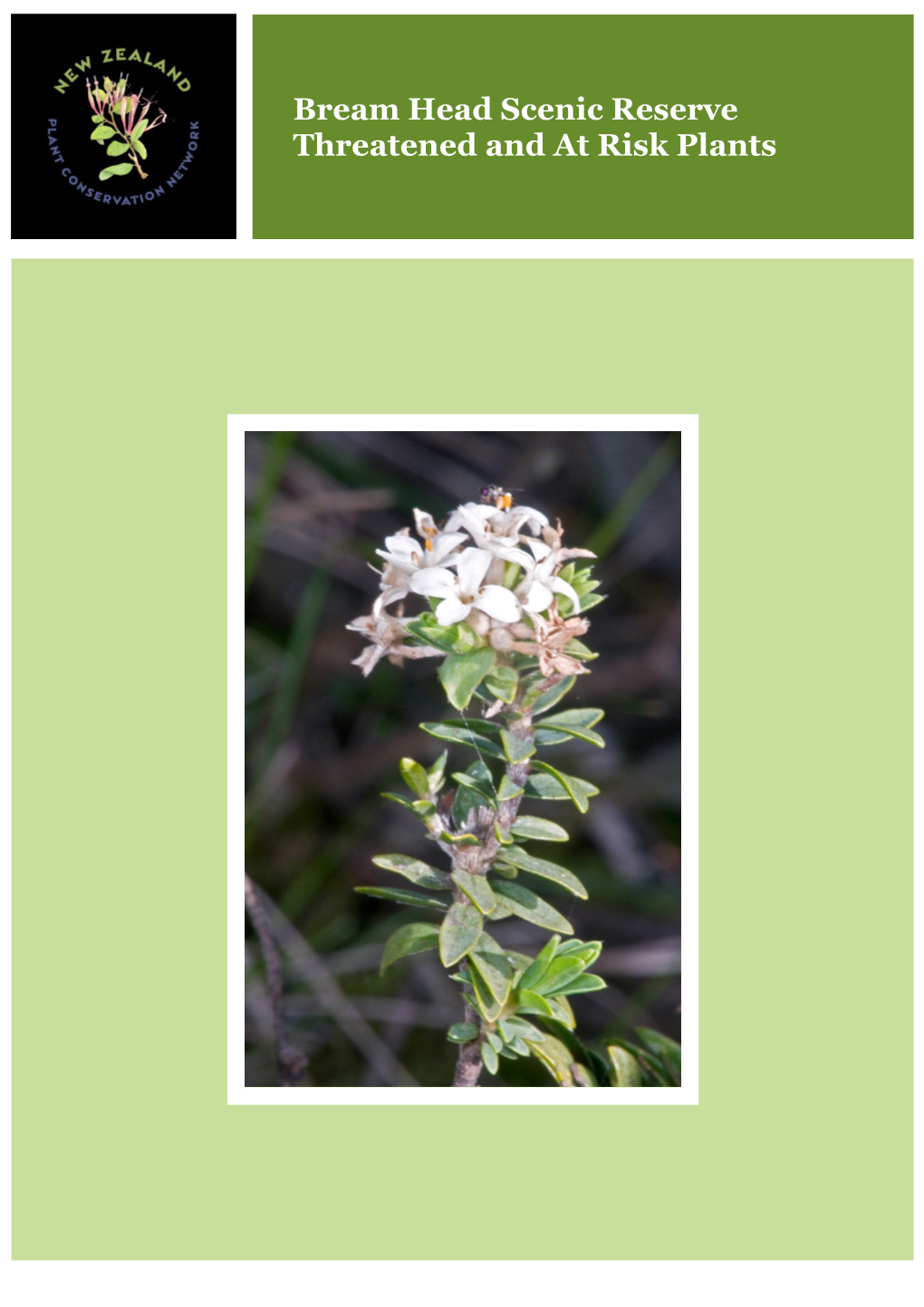 Bream Head Scenic Reserve Threatened and at Risk Plants