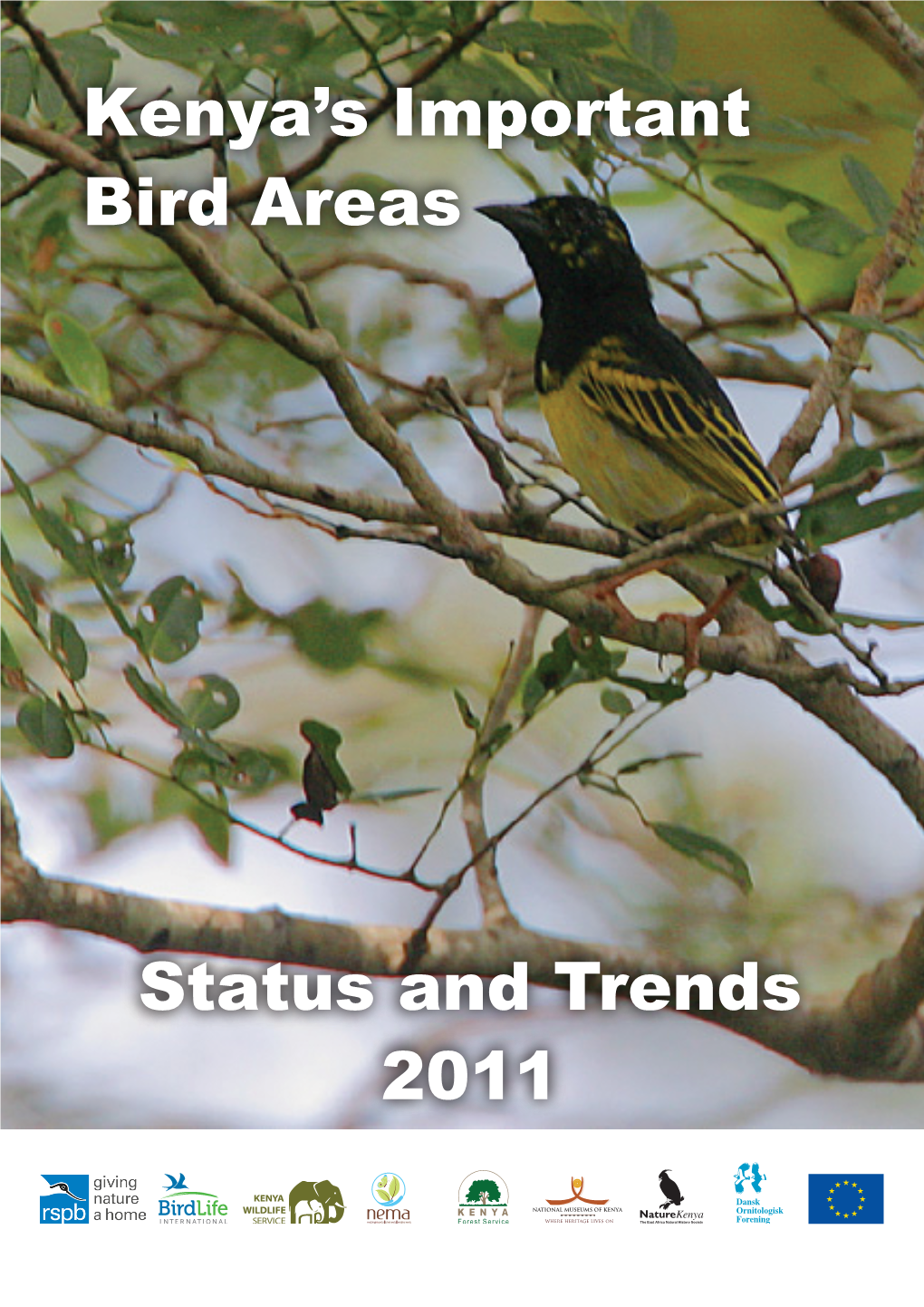 Kenya's Important Bird Areas Status and Trends 2011