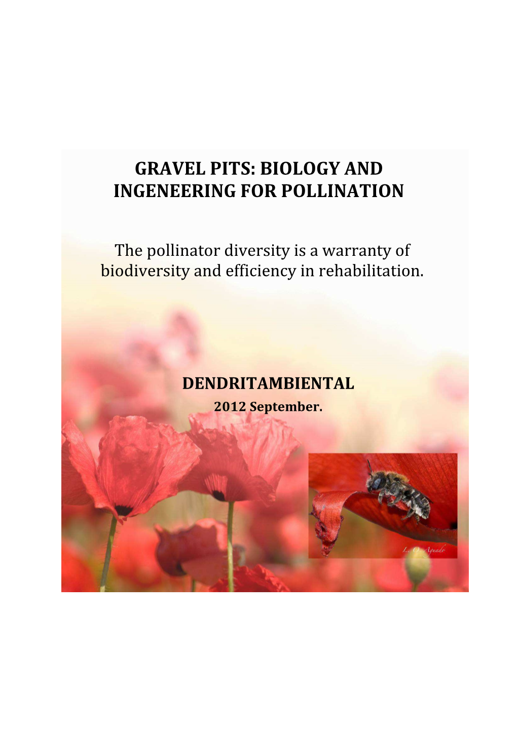 Gravel Pits: Biology and Ingeneering for Pollination