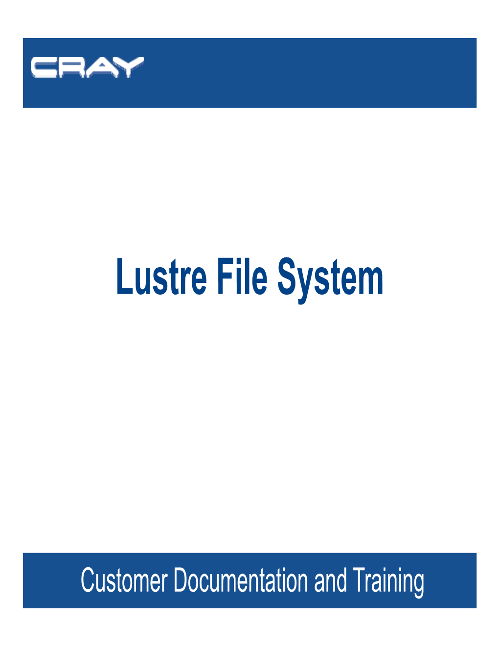 Lustre File System