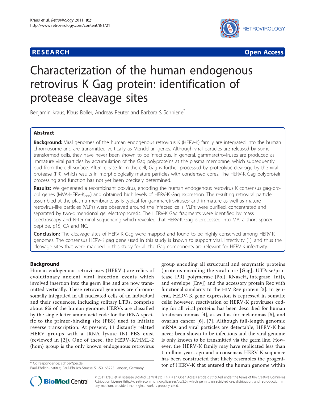 Characterization of the Human Endogenous Retrovirus K Gag