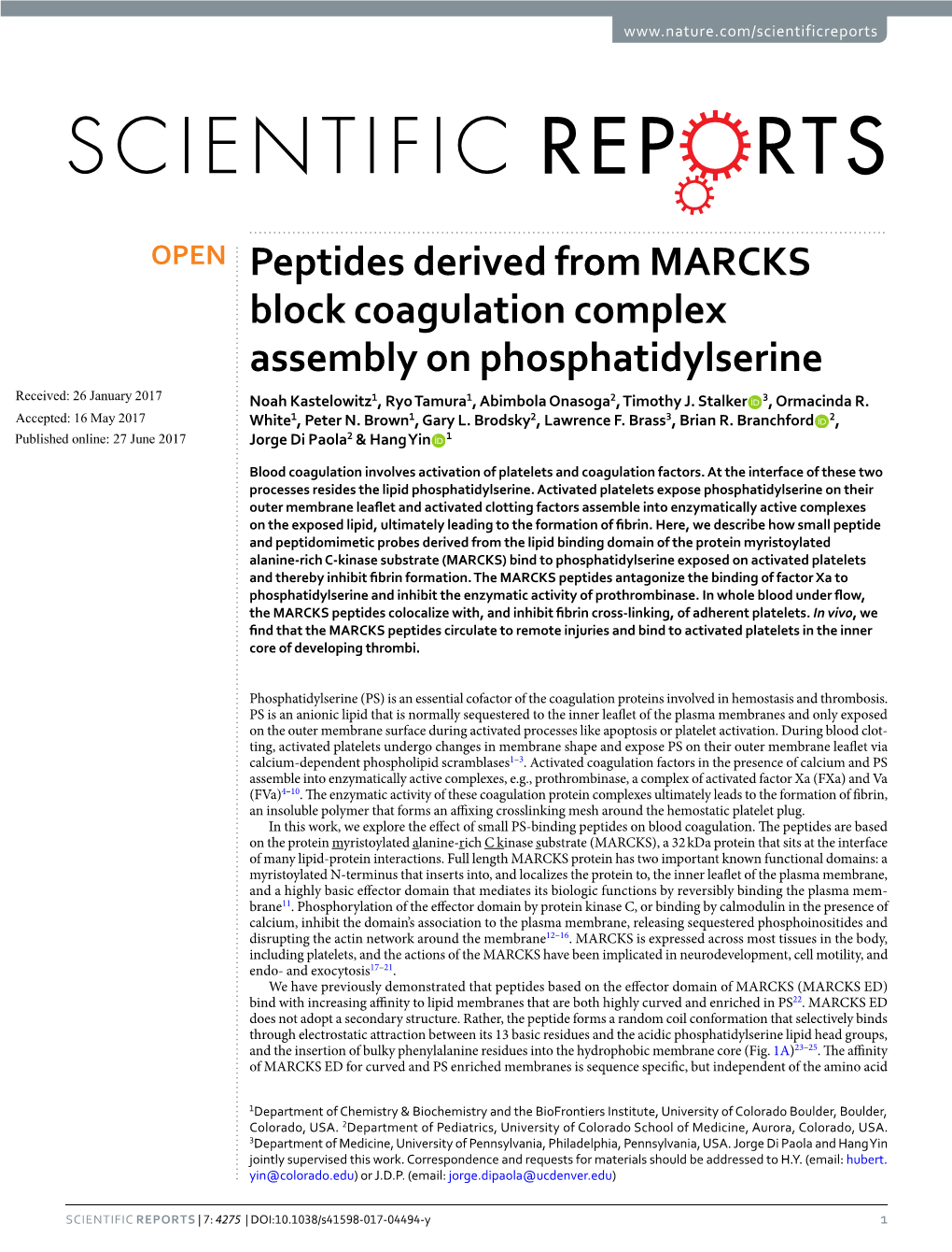 Peptides Derived from MARCKS Block Coagulation Complex Assembly On