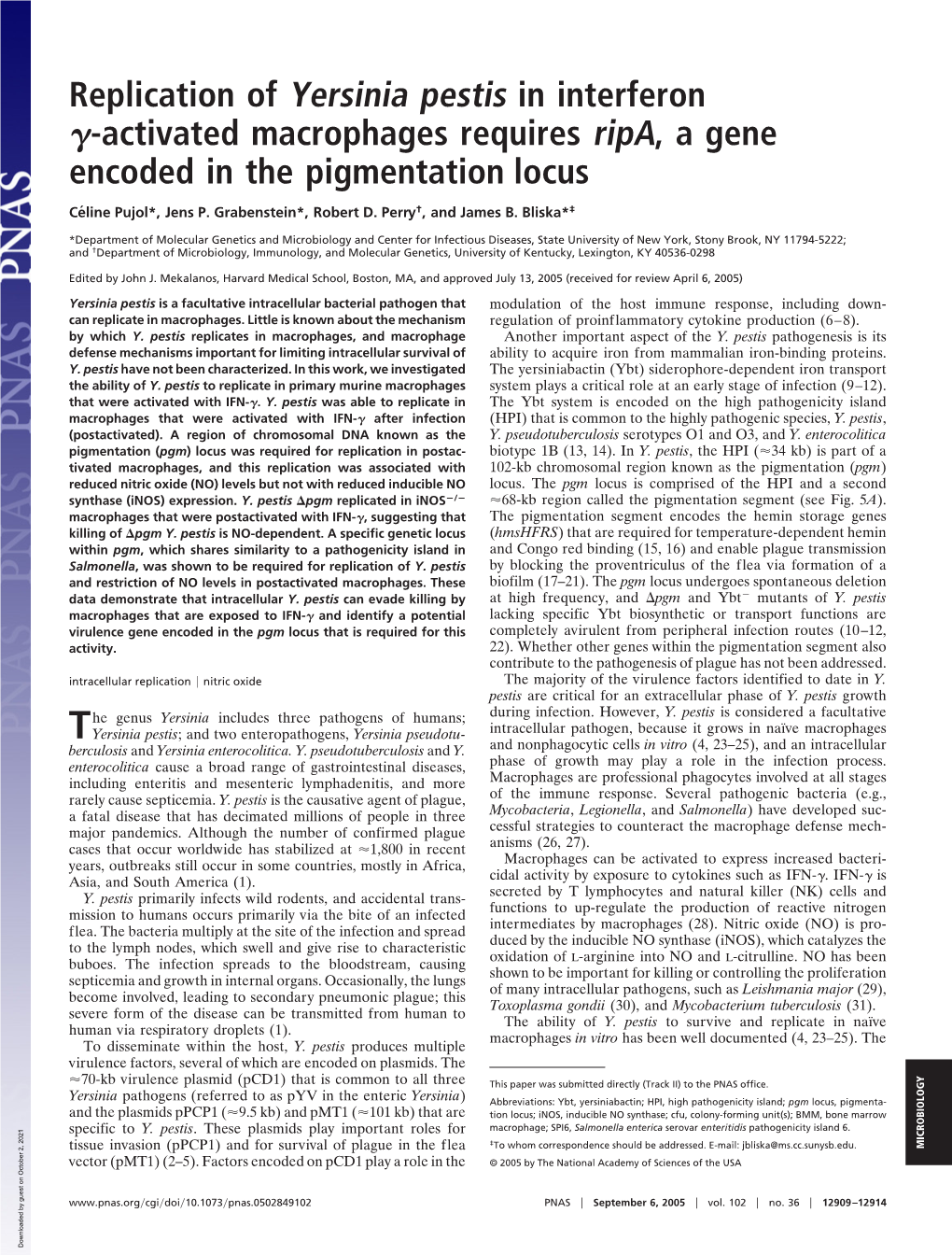 Replication of Yersinia Pestis in Interferon ␥-Activated Macrophages Requires Ripa, a Gene Encoded in the Pigmentation Locus