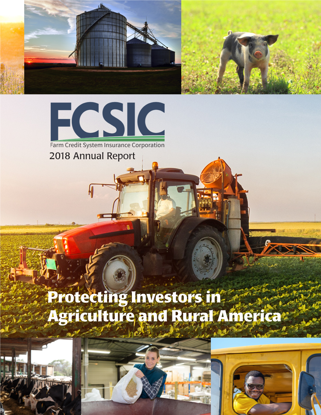 2018 FCSIC Annual Report