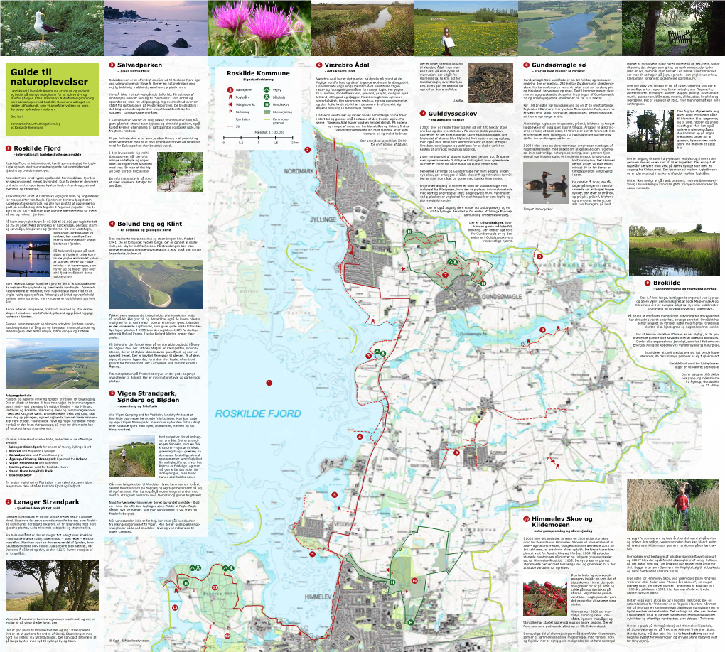 Gundsømagle Sø Rikserne, Der Skriger Som Grise, Og Rørdrummen, Der Tuder – Plads Til Friluftsliv - Det Ukendte Land Kan F.Eks