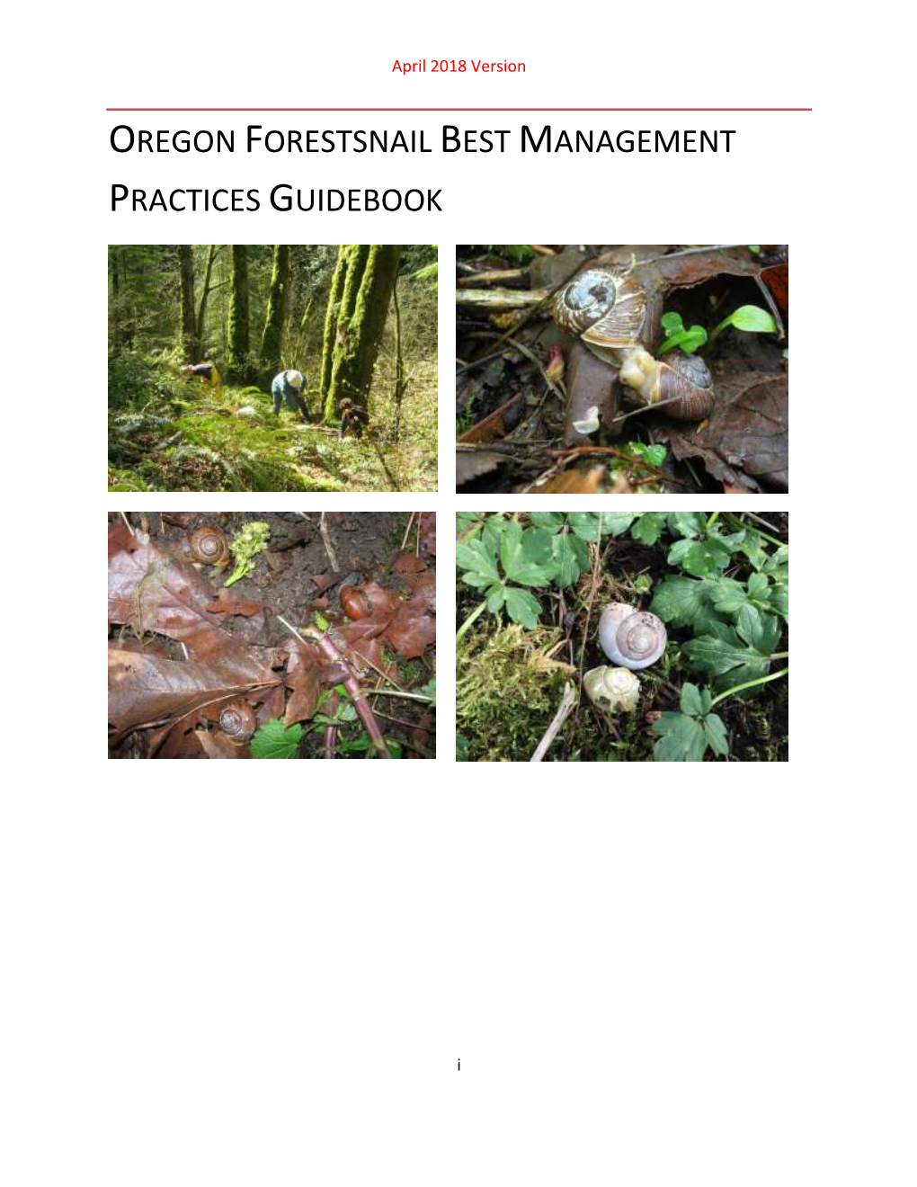 Oregon Forestsnail Best Management Practices Guidebook