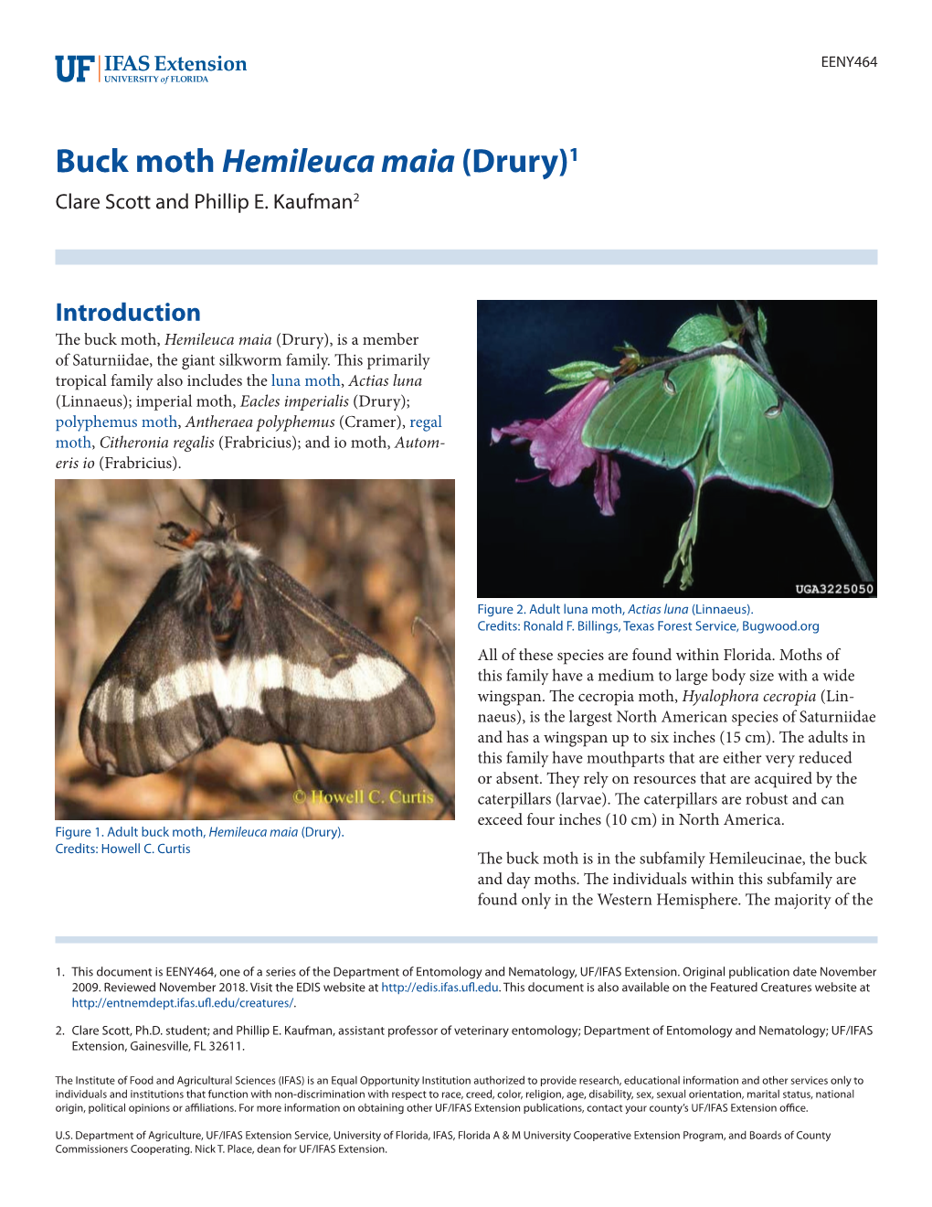 Buck Moth Hemileuca Maia (Drury)1 Clare Scott and Phillip E