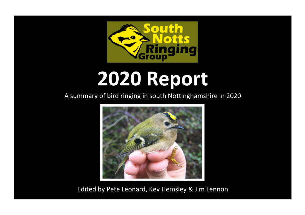 SNRG Report 2020