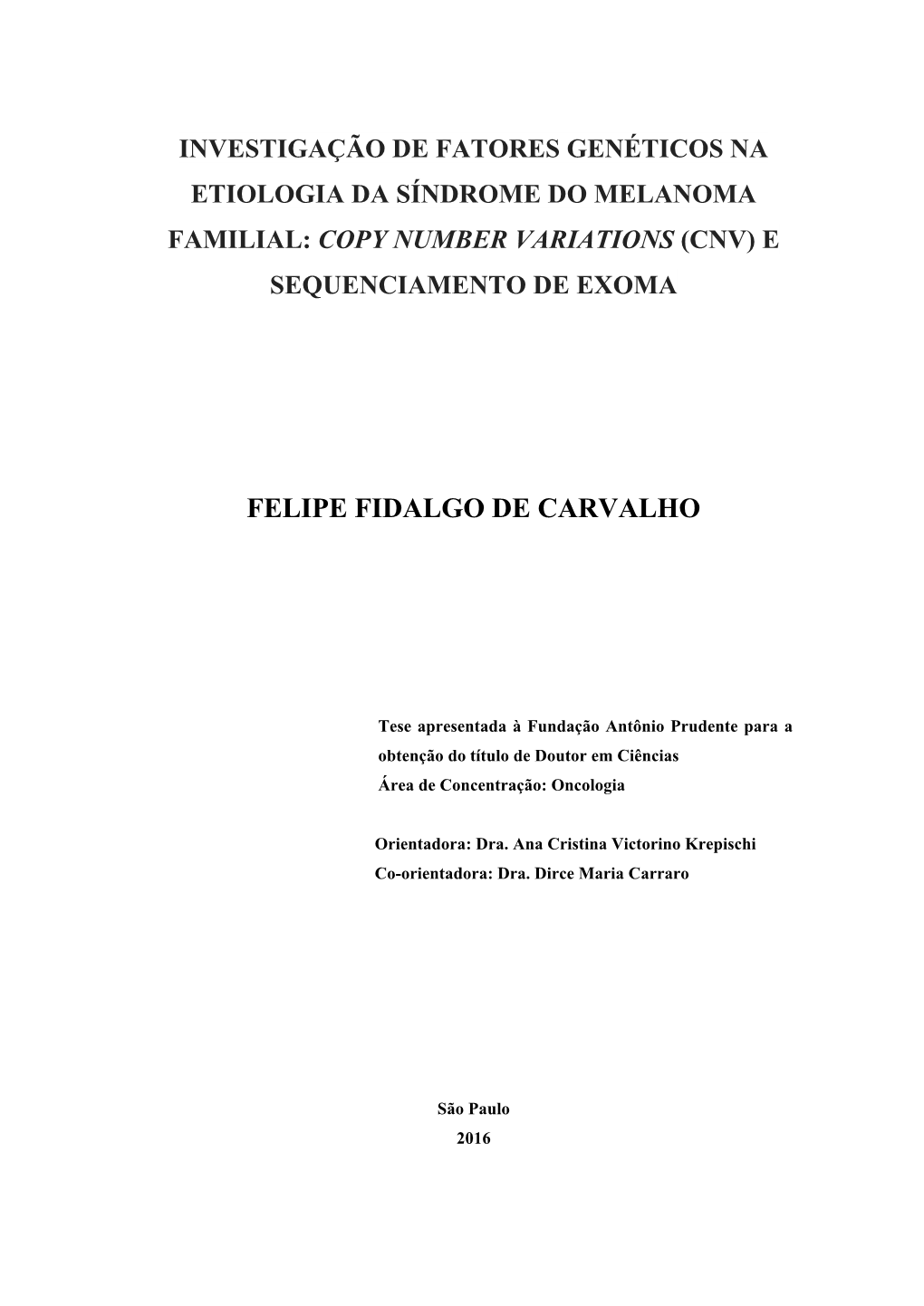 Felipe Fidalgo De Carvalho