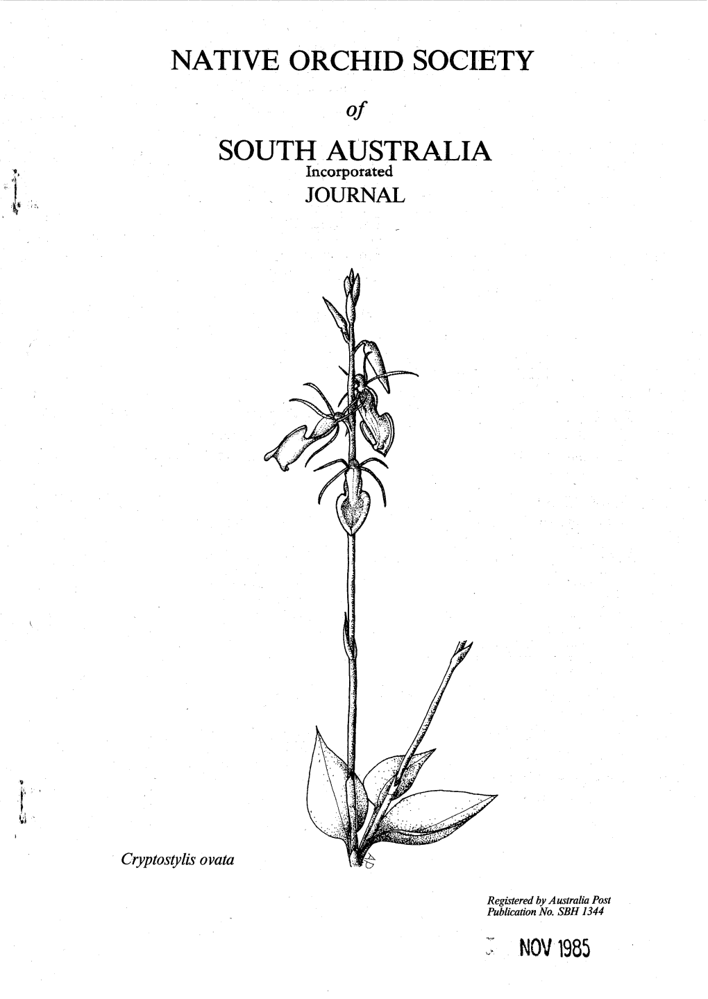 Native Orchid Society South Australia Nov1985