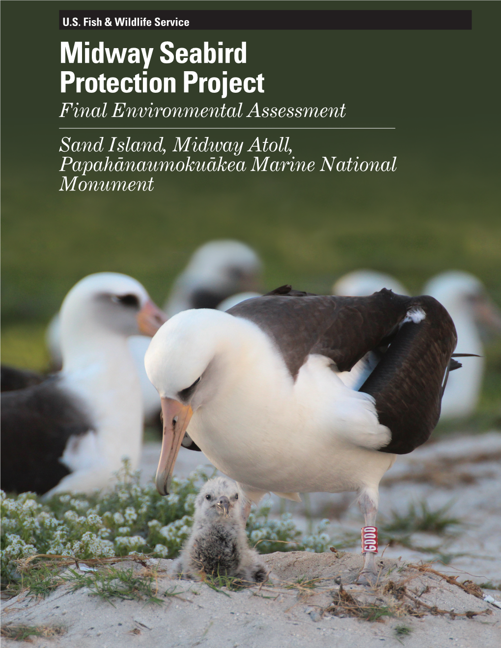 Midway Seabird Protection Project Final Environmental Assessment Sand Island, Midway Atoll, Papahanaumokuakea- - Marine National Monument Front Cover