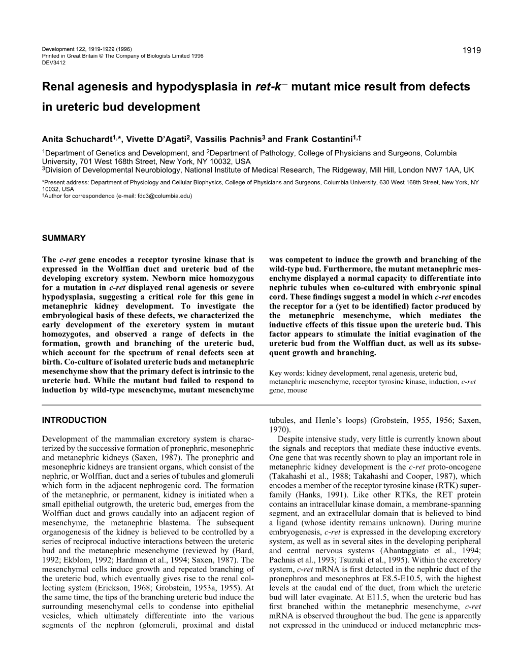 Renal Agenesis and Hypodysplasia in Ret-K Mutant Mice Result from Defects