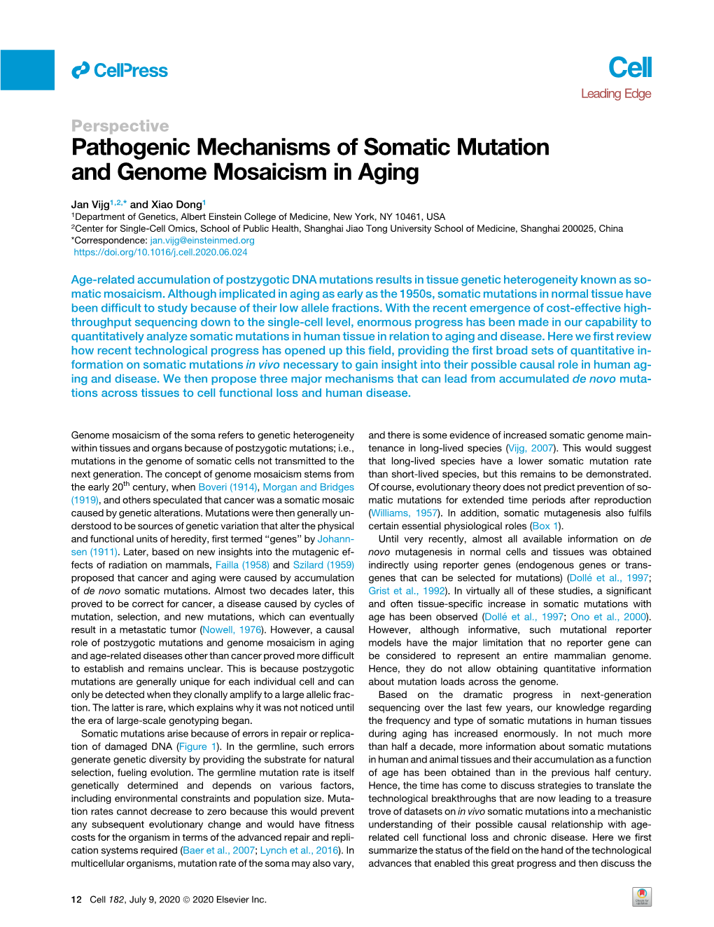 Pathogenic Mechanisms of Somatic Mutation and Genome Mosaicism in Aging