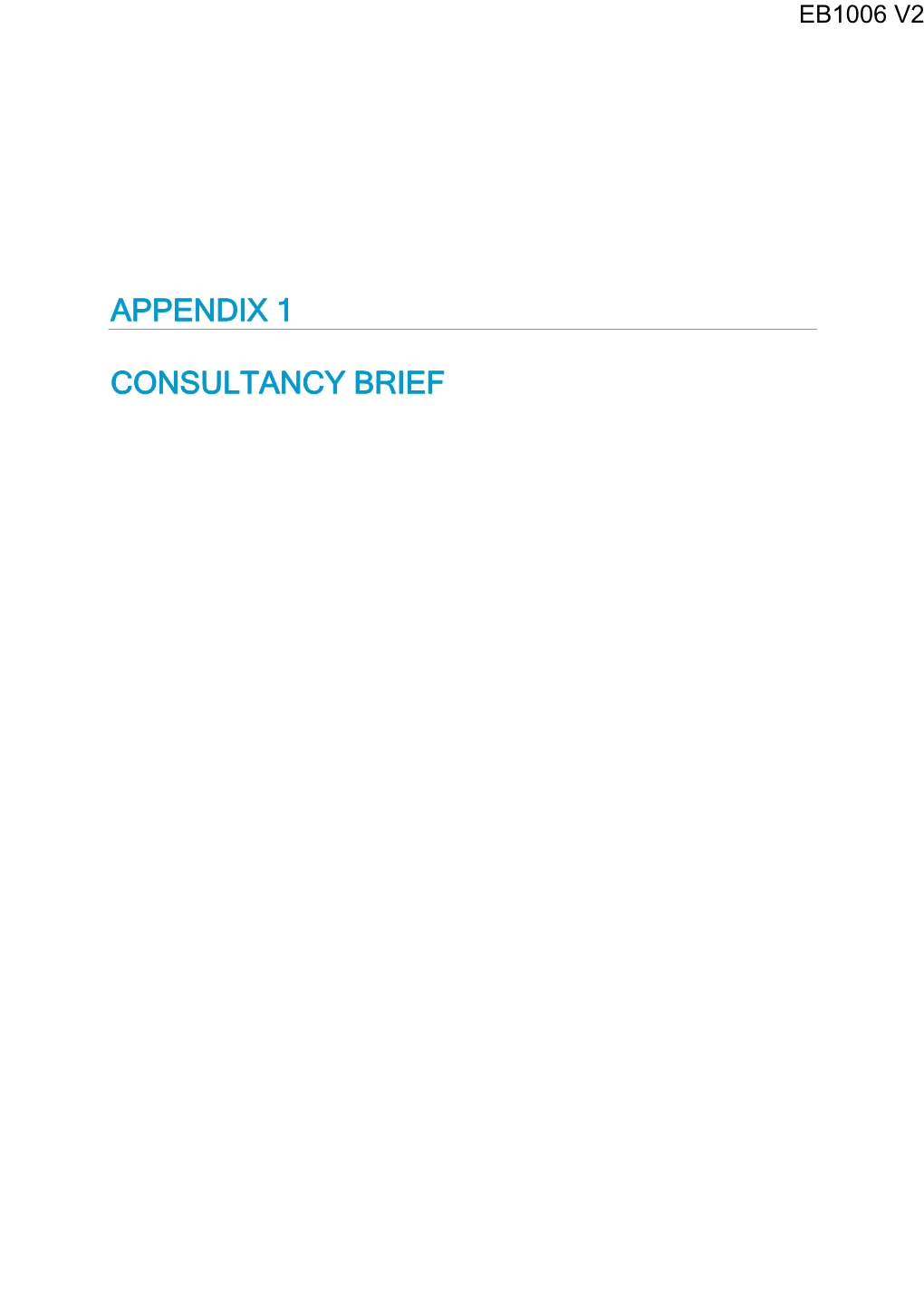 Appendix 1 Consultancy Brief