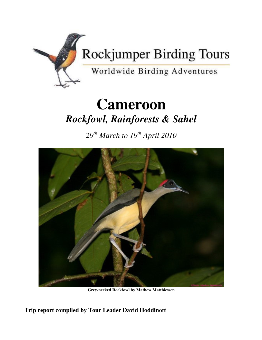 Cameroon Rockfowl, Rainforests & Sahel