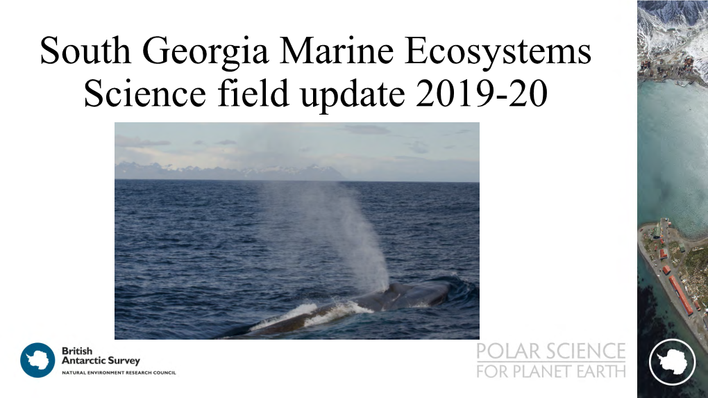 South Georgia Marine Ecosystems Science Field Update 2019-20