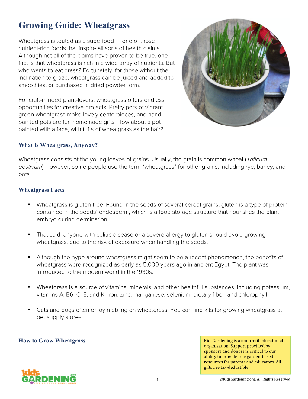 Wheatgrass Growing Guide