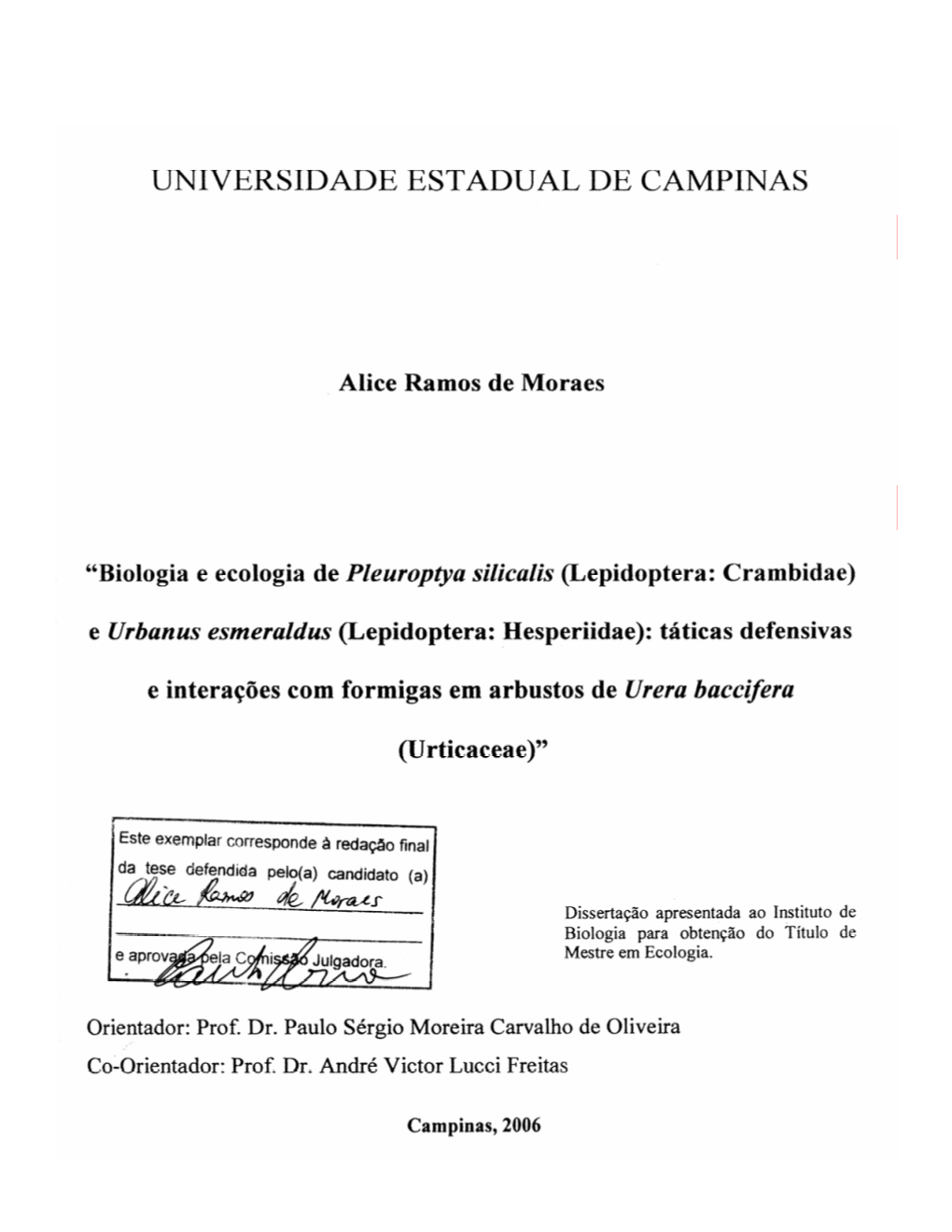 Moraes Aliceramosde M.Pdf