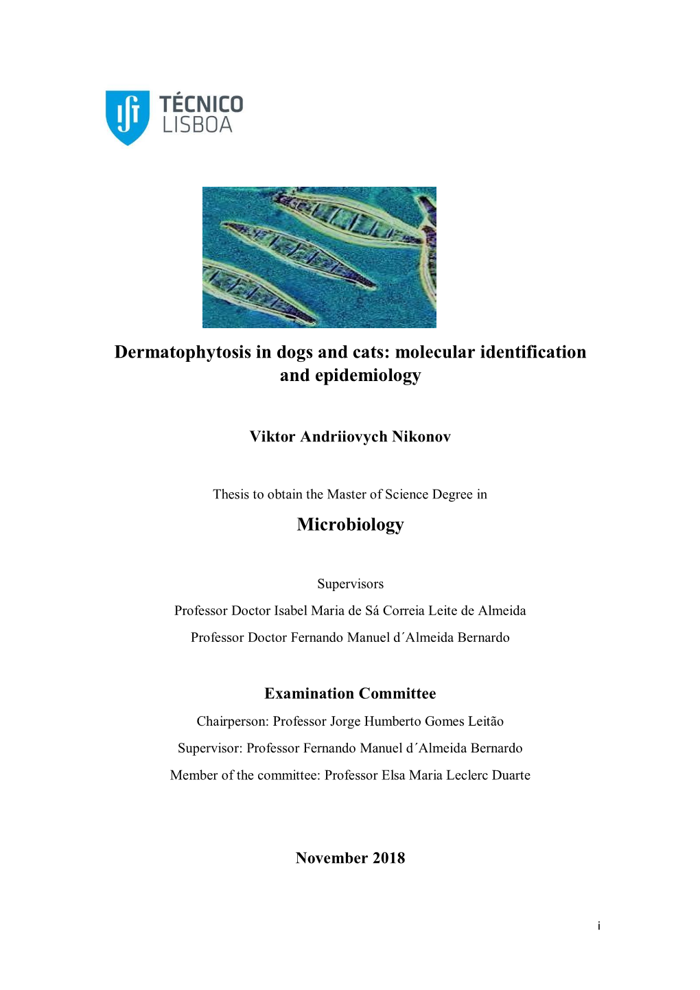 Dermatophytosis in Dogs and Cats: Molecular Identification and Epidemiology