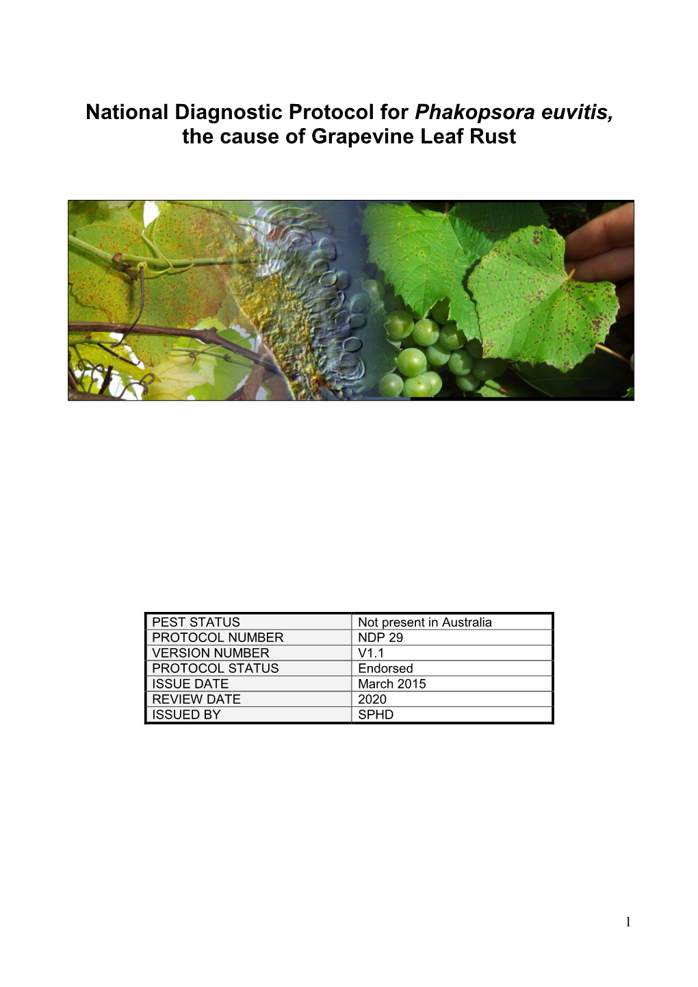 National Diagnostic Protocol for Phakopsora Euvitis, the Cause of Grapevine Leaf Rust