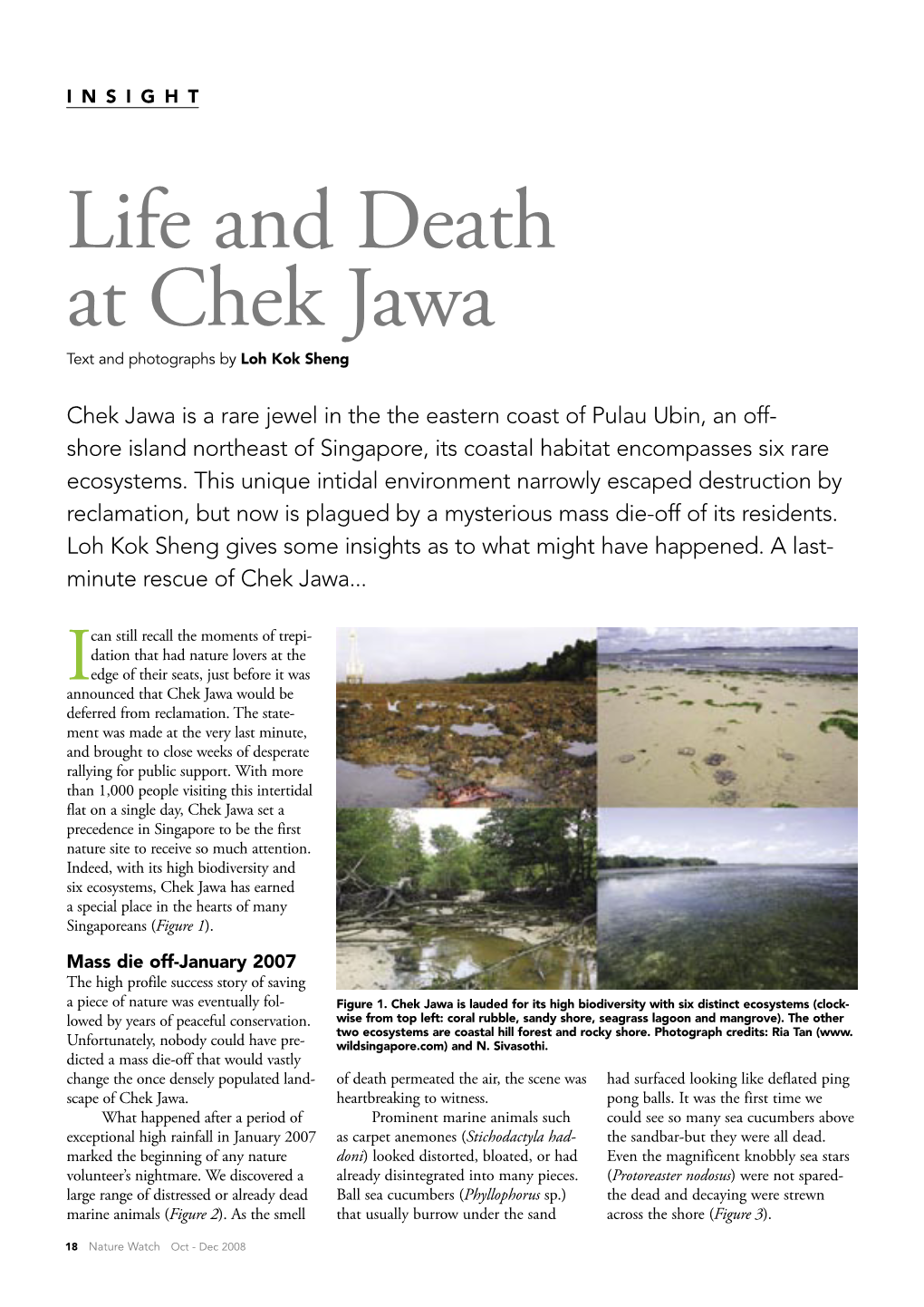 Life and Death at Chek Jawa Text and Photographs by Loh Kok Sheng