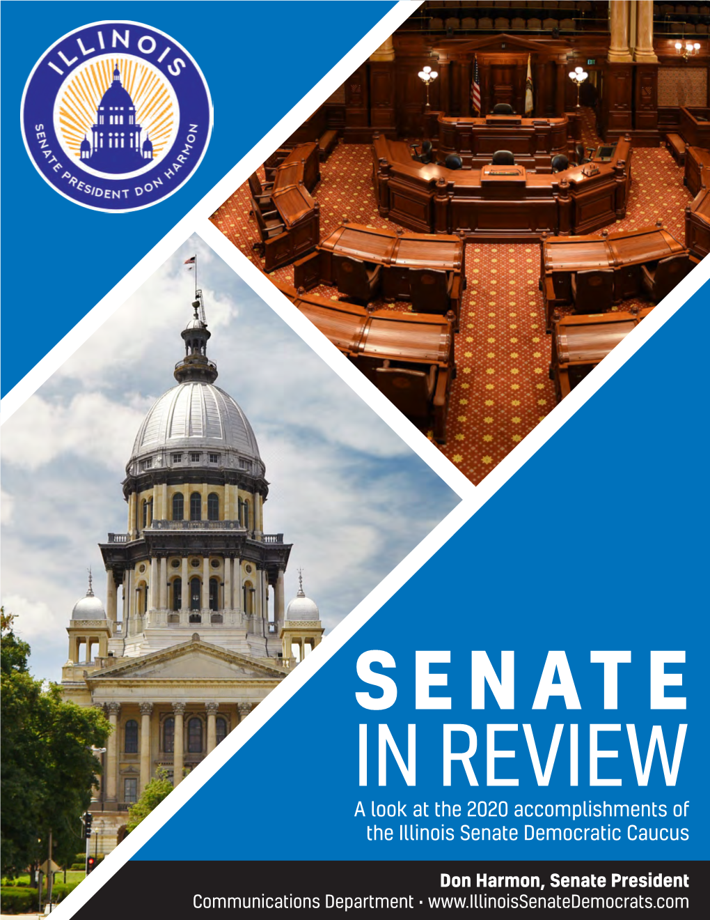 Senate in Review 2020