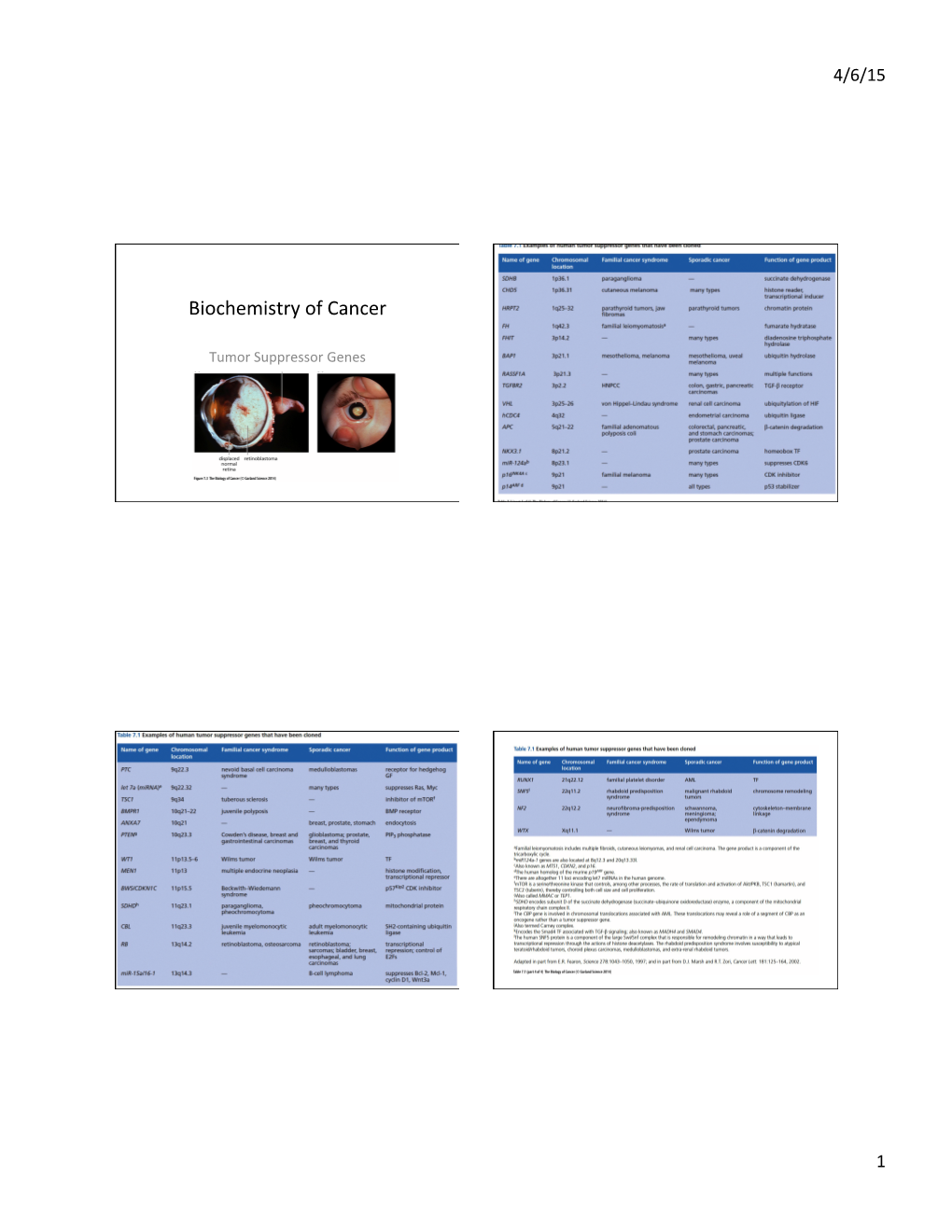 Biochem of Cancer Tumor Suppressors.Pptx