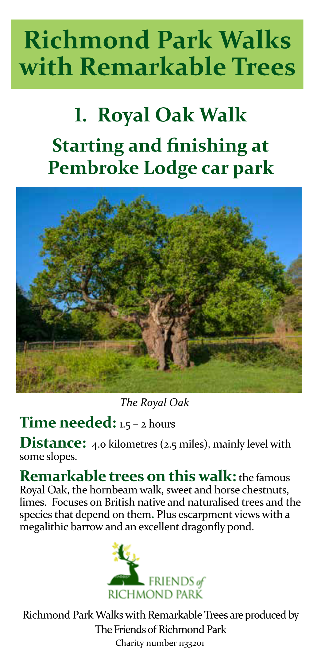 Richmond Park Walks with Remarkable Trees