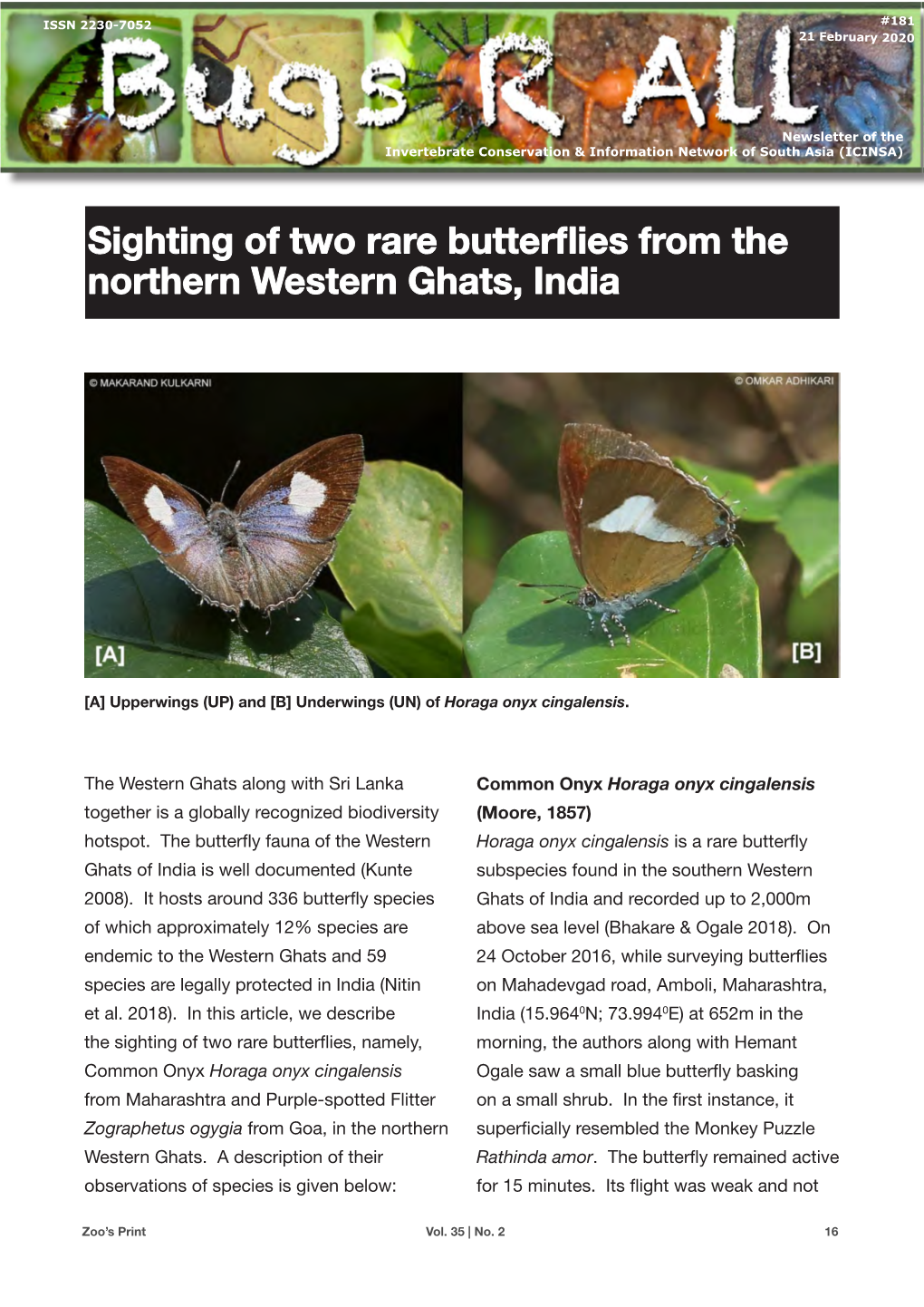 Sighting of Two Rare Butterflies from the Northern Western Ghats, India