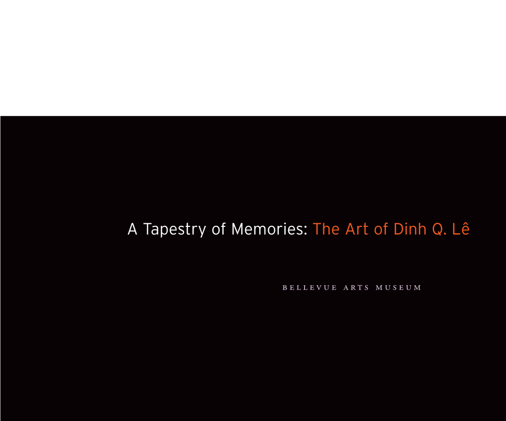 A Tapestry of Memories: the Art of Dinh Q. Lê