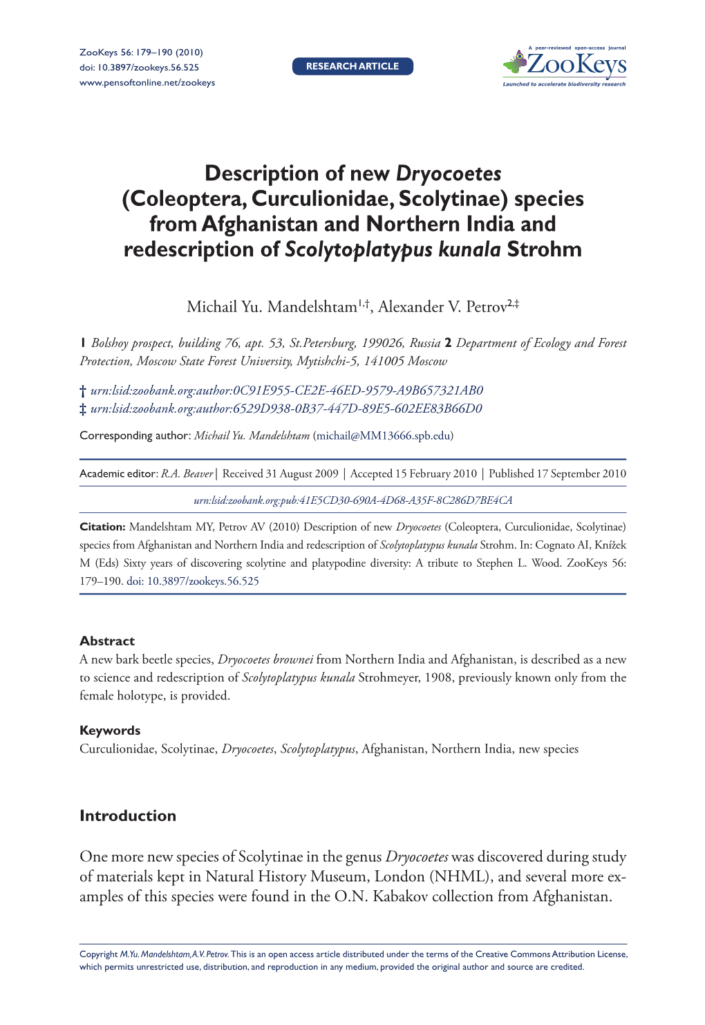 Description of New Dryocoetes (Coleoptera, Curculionidae, Scolytinae) Species from Afghanistan and Northern India and Redescription of Scolytoplatypus Kunala Strohm