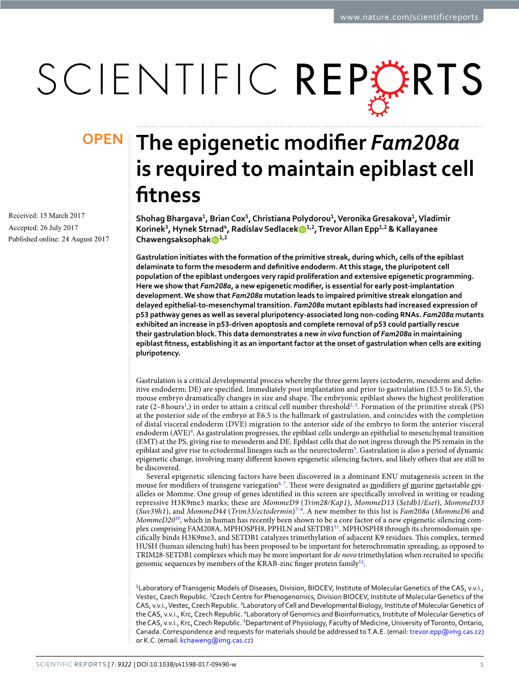 The Epigenetic Modifier Fam208a Is Required to Maintain Epiblast Cell