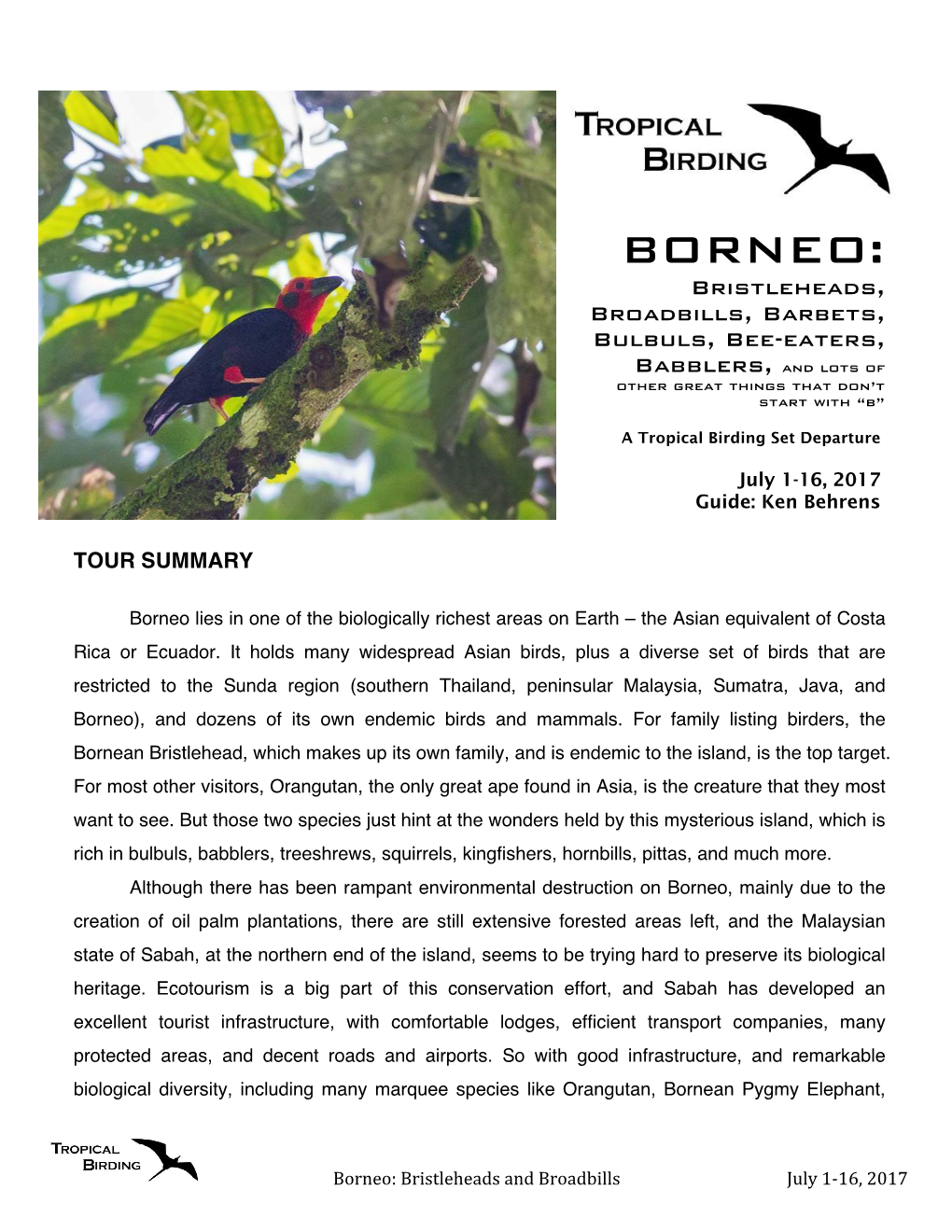BORNEO: Bristleheads, Broadbills, Barbets, Bulbuls, Bee-Eaters, Babblers, and Lots of Other Great Things That Don’T Start with “B”