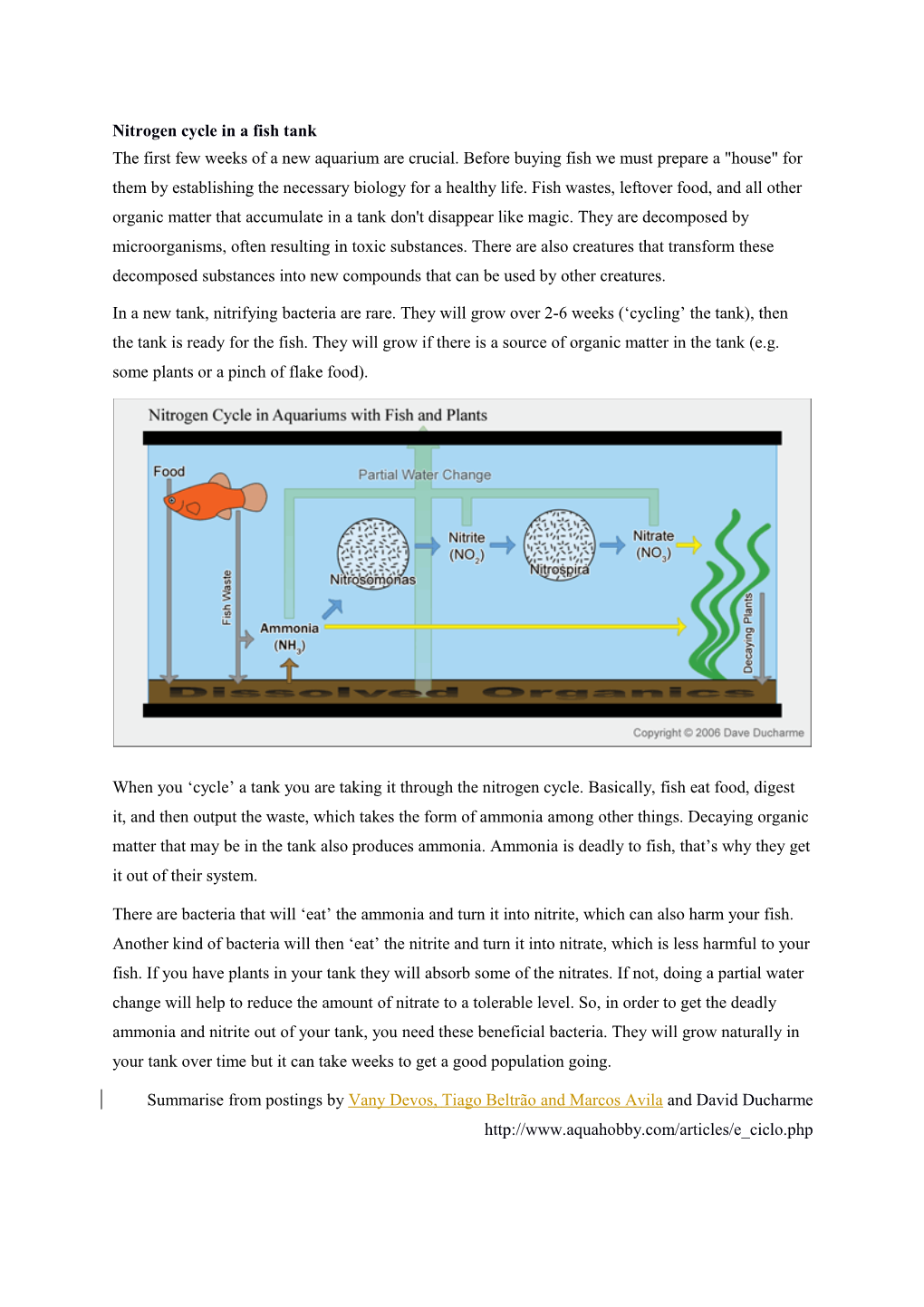 Nitrogen Cycle in a Fish Tank