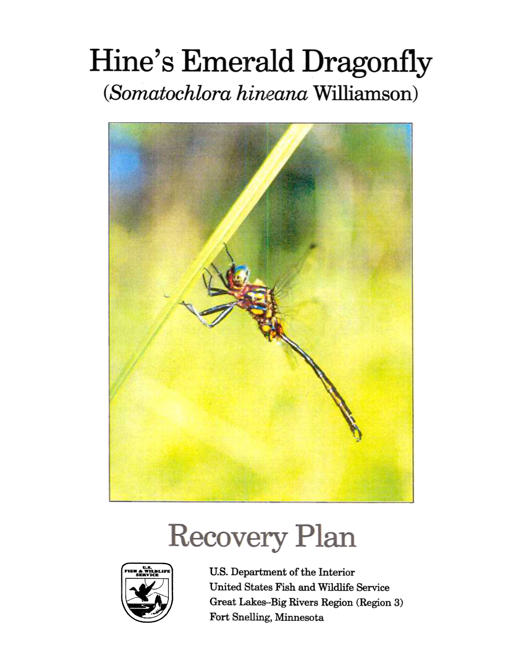 Hine's Emerald Dragonfly Recovery Plan