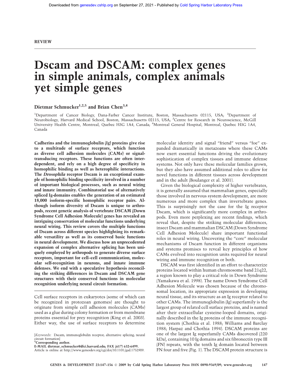 Dscam and DSCAM: Complex Genes in Simple Animals, Complex Animals Yet Simple Genes