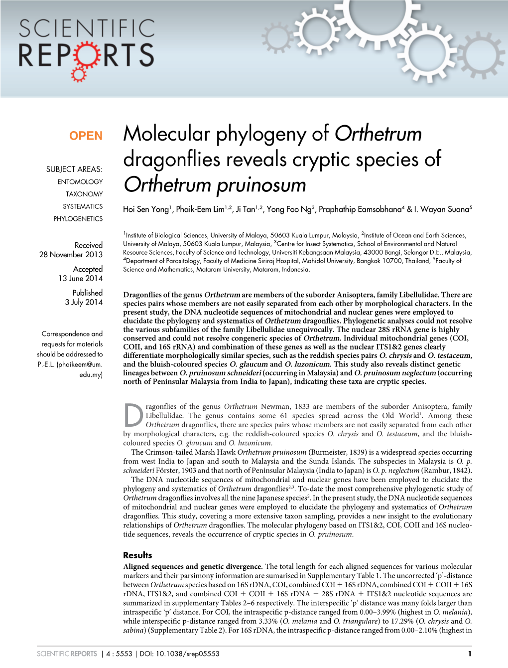 Molecular Phylogeny of Orthetrum Dragonflies Reveals Cryptic Species