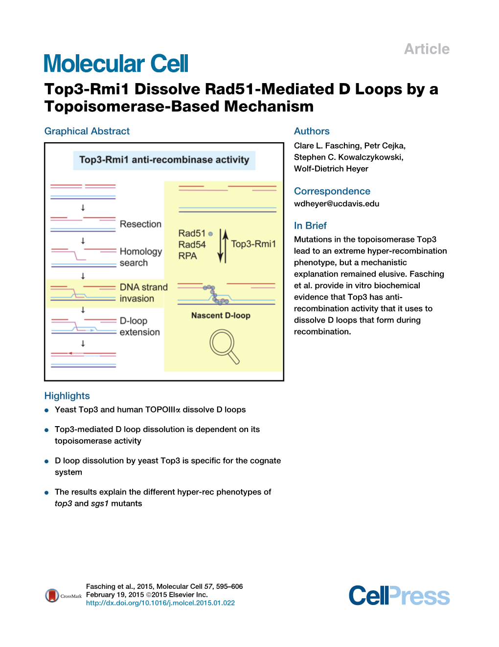 Top3-Rmi1 Dissolve Rad51-Mediated D Loops by a Topoisomerase-Based Mechanism