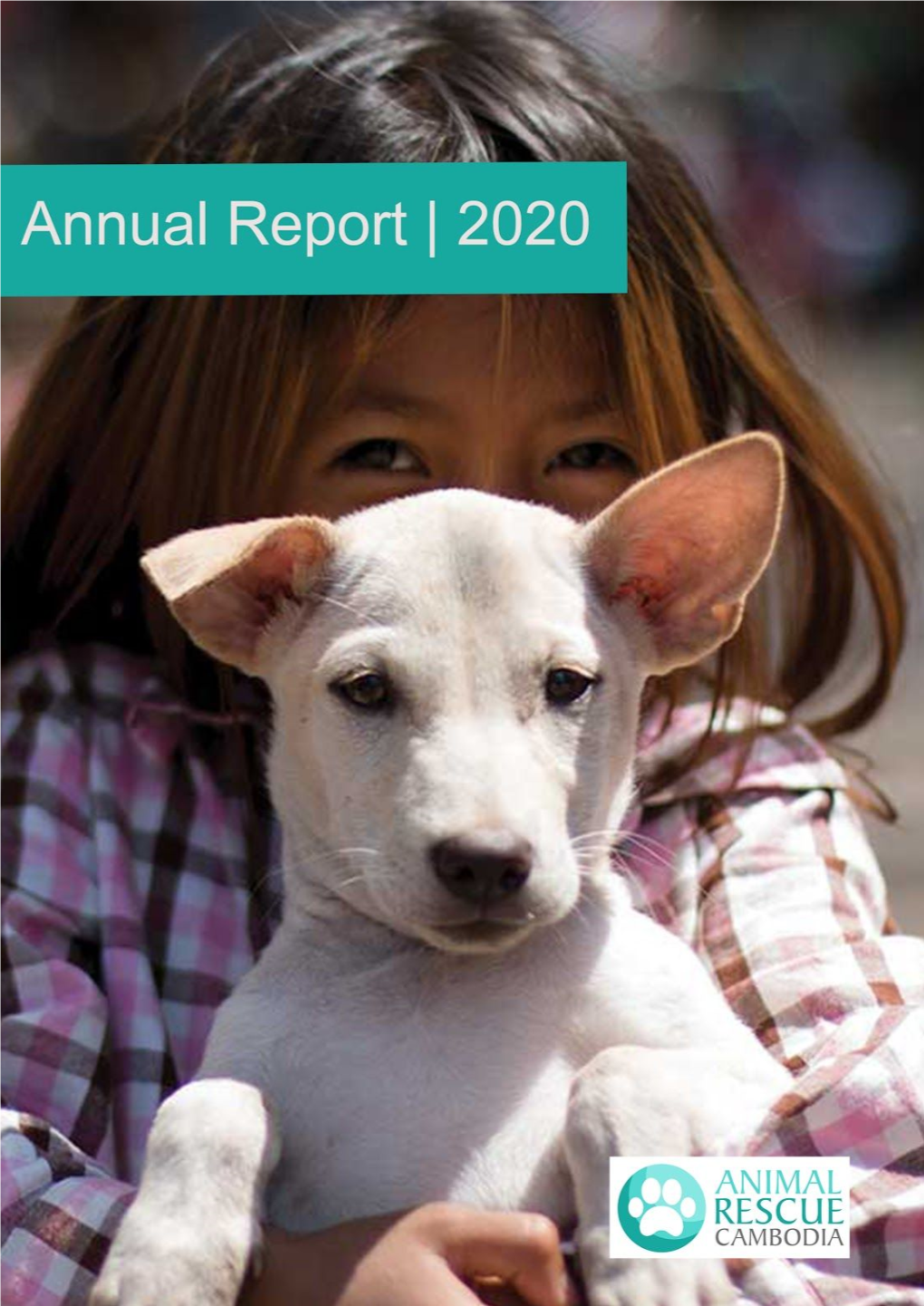 ARC Annual Report 2020