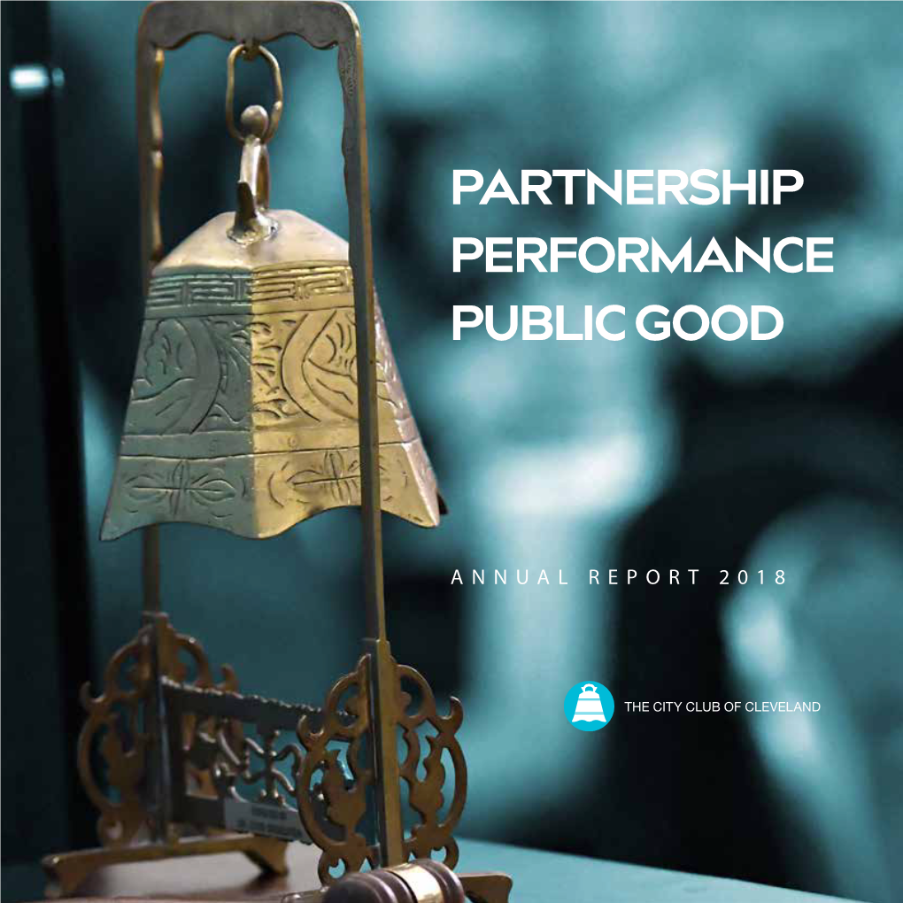 Partnership Performance Public Good