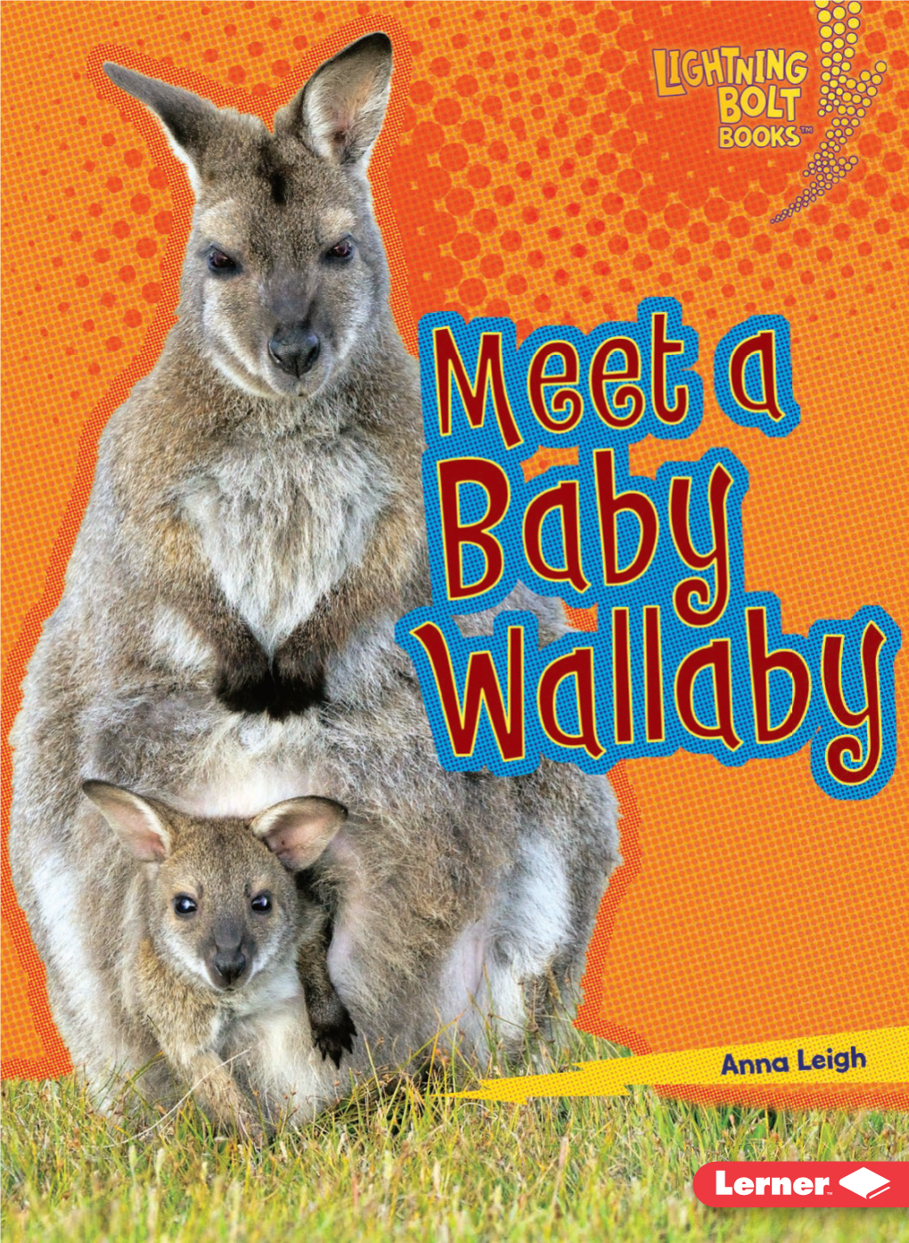 Or That a Baby Wallaby Drinks Its Mother's Milk Until It Is One Year Old?