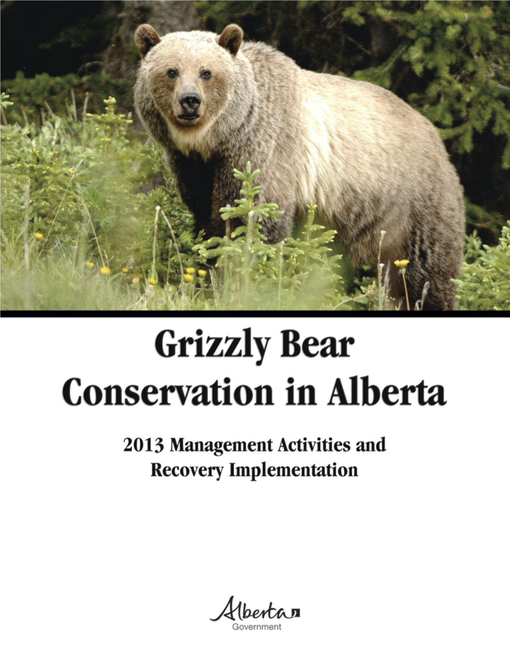 Grizzly Bear Conservation in Alberta: 2013 Management Activities and Recovery Implementation