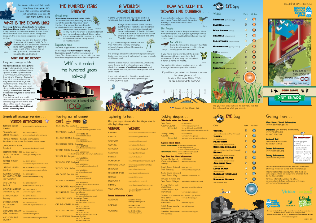 Downs Link Information Leaflet